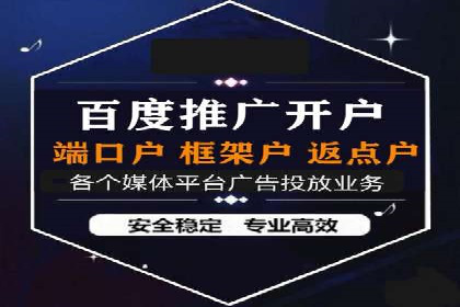 行业标杆的SEM竞价营销案例研究